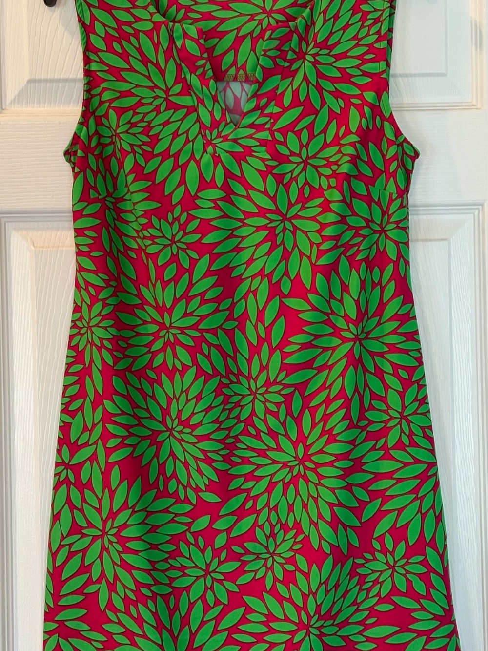 Aryeh Pink and Green Floral Sleeveless Dress